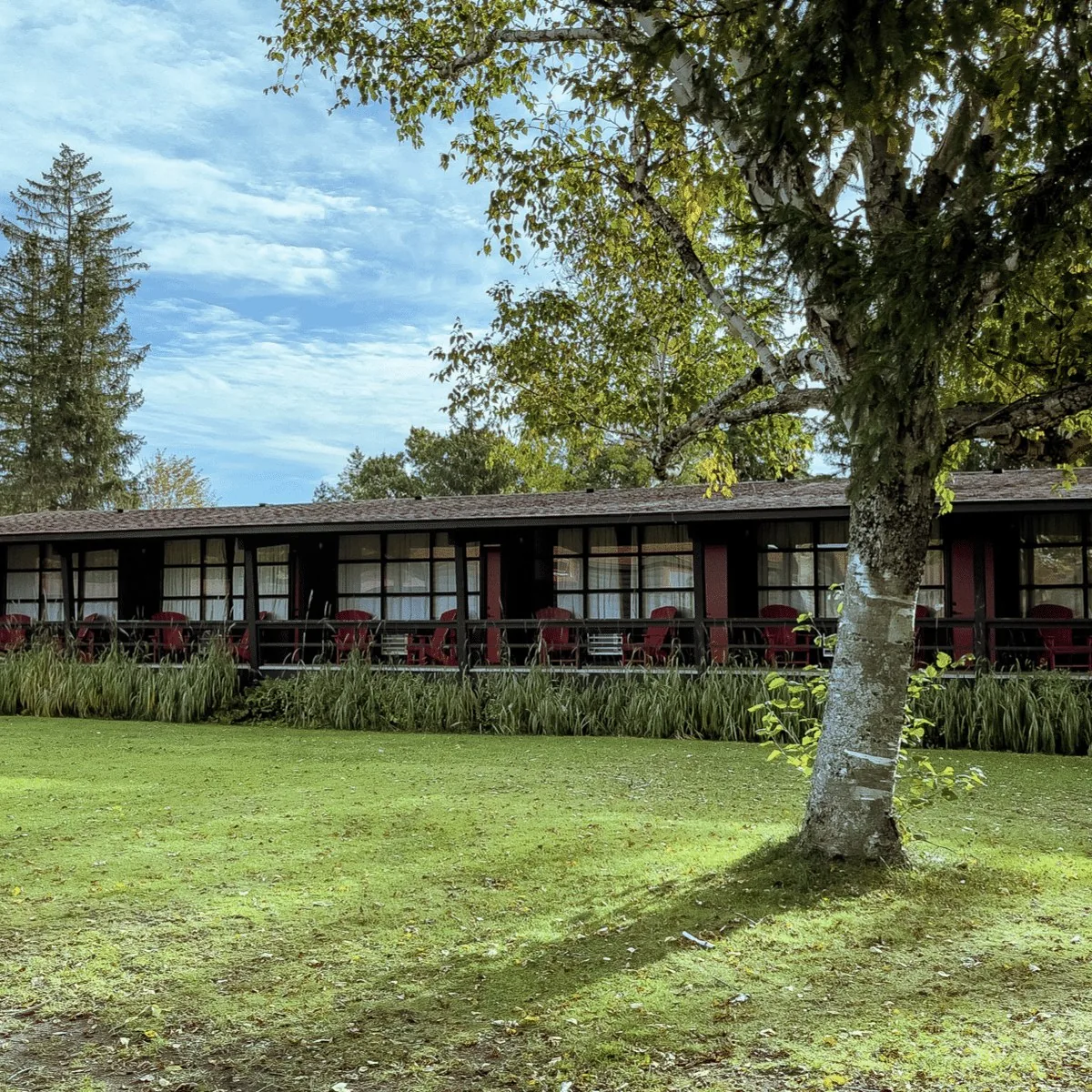 Pine Lodge exterior across a lawn in the green season at Killarney Mountain Lodge