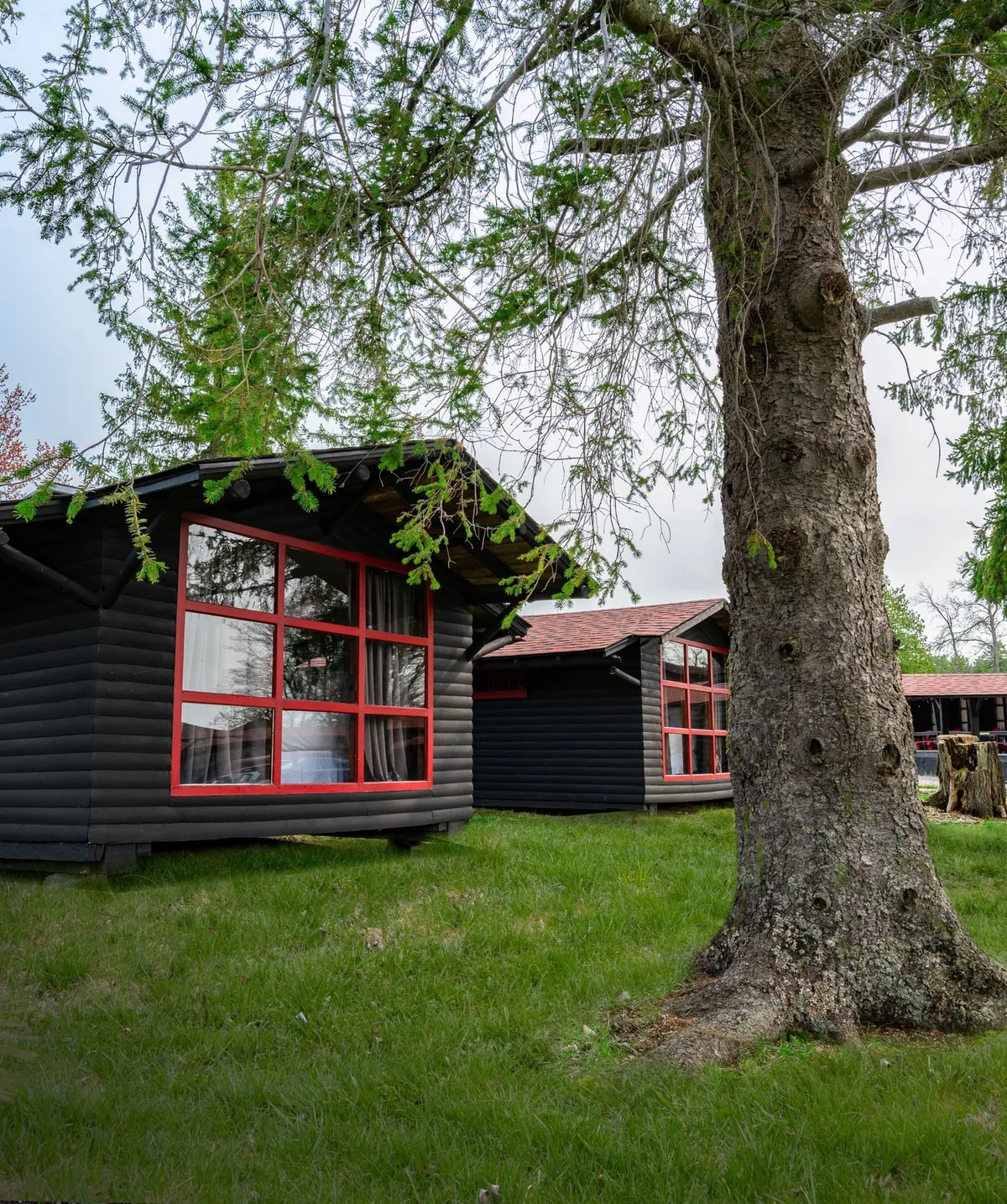Georgian Bay Cabin exterior among trees in the green season at Killarney Mountain Lodge