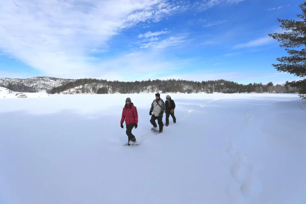 Snowshoeing in Killarney