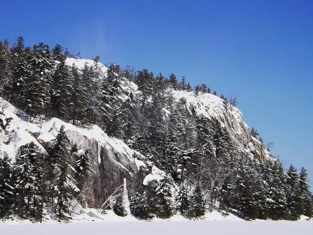 A winter landscape of rock and pine